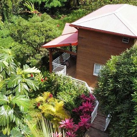Mahogany Lodge - Oasis Cosy Rivière-Pilote Εξωτερικό φωτογραφία