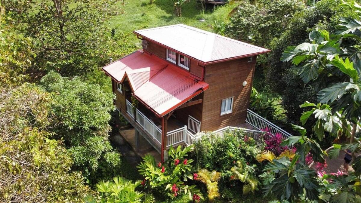 Mahogany Lodge - Oasis Cosy Rivière-Pilote Εξωτερικό φωτογραφία